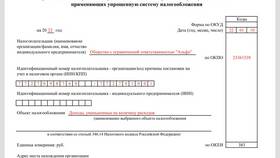 Что ведет ИП на УСН 