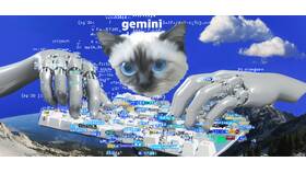 Gemini подписка: что дает в ТНК