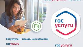 Как оформить социальную карту через Госуслуги в ТНК