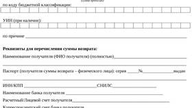 Как оплатить госпошлину в МФЦ наличными в ТНК