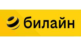 Как оплатить услуги Билайн в ТНК