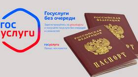 Как подать заявление на получение услуги через Госуслуги в ТНК