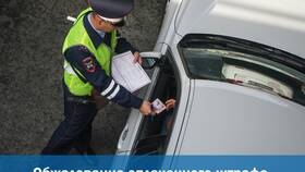 Как правильно написать обжалование штрафа ГИБДД в ТНК