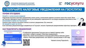 Почему на Госуслуги приходят уведомления в ТНК