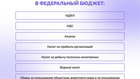 Почему в России высокий НДФЛ: анализ налоговой политики в ТНК