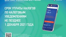 Способы оплаты налогов в ТНК