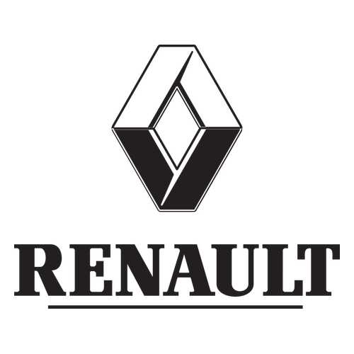 Боковое зеркало заднего вида RENAULT 963029938R в ТНК