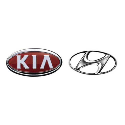 Форсунка омывателя Hyundai-KIA 984503E500 в ТНК